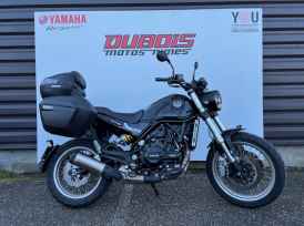BENELLI LEONCINO 500 T - 2024