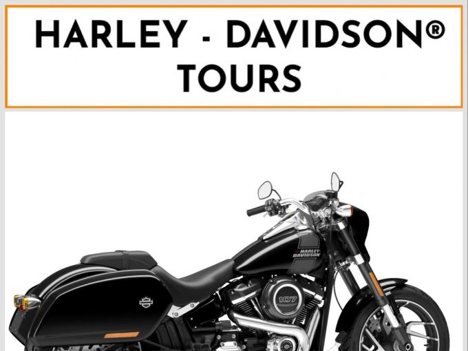 HARLEY-DAVIDSON SOFTAIL SPORT GLIDE 1745 4