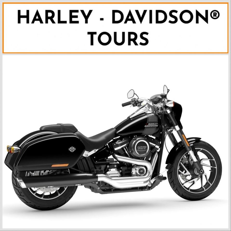 HARLEY-DAVIDSON SOFTAIL SPORT GLIDE 1745 4