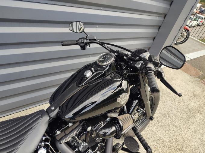 HARLEY-DAVIDSON SOFTAIL SLIM 1800 S 4