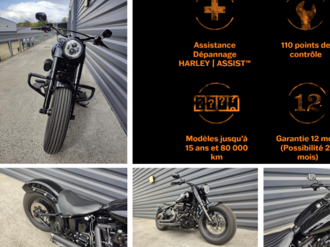 HARLEY-DAVIDSON SOFTAIL SLIM 1800 S 4