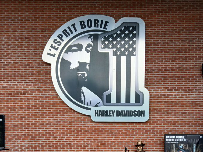 HARLEY-DAVIDSON SOFTAIL STREET BOB 1745 4