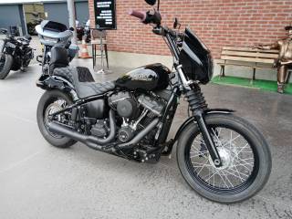 HARLEY-DAVIDSON SOFTAIL STREET BOB 1745 - 2019
