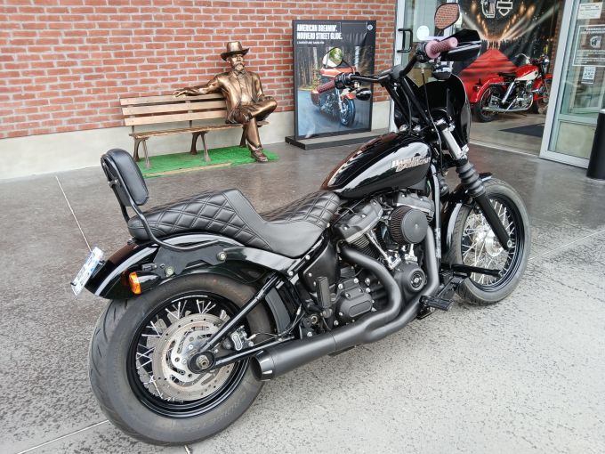 HARLEY-DAVIDSON SOFTAIL STREET BOB 1745 4