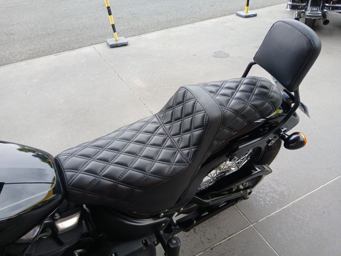 HARLEY-DAVIDSON SOFTAIL STREET BOB 1745 4