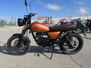 MASH SEVENTY 125 - 2022