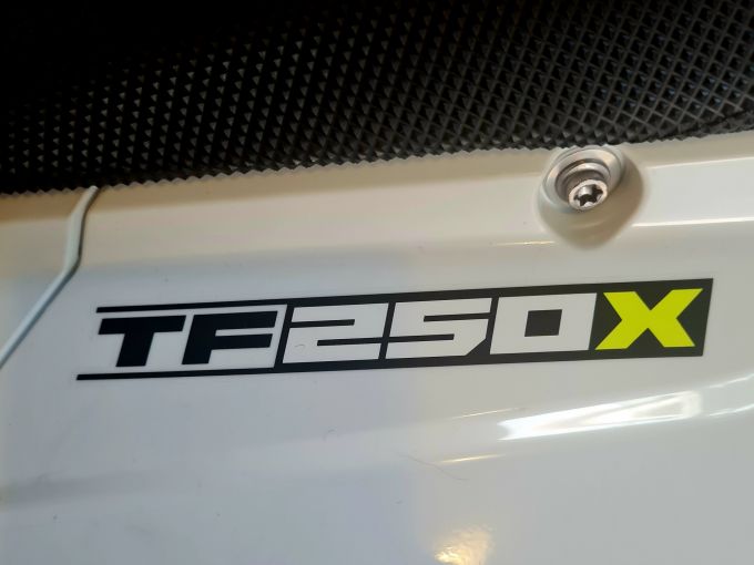 TRIUMPH TF 250-X 4