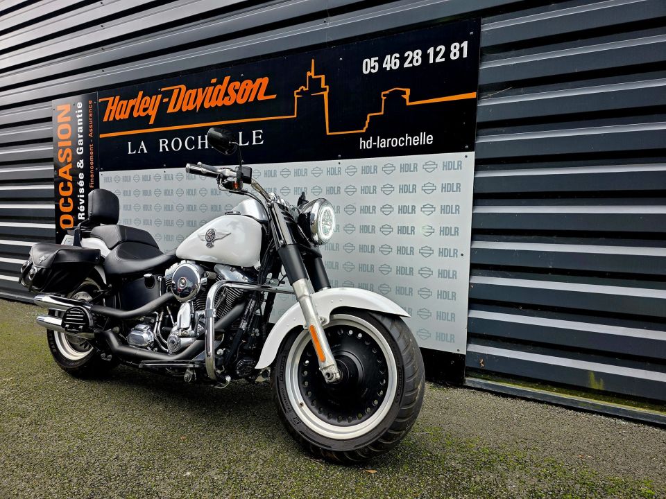 HARLEY-DAVIDSON SOFTAIL FAT BOY 1584 SPECIAL 4