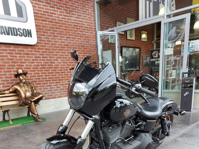 HARLEY-DAVIDSON DYNA LOW RIDER 1800 S 4