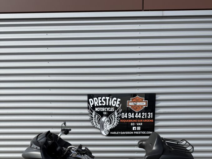HARLEY-DAVIDSON TOURING ROAD GLIDE 1745 SPECIAL 4