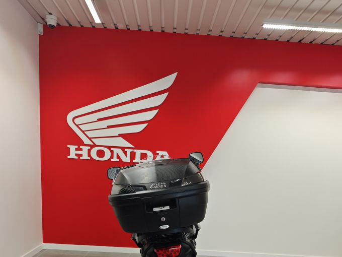 SUZUKI DL V-STROM 650 A2 4