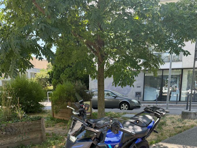 YAMAHA MT-09  Y-AMT 4