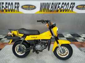 SUZUKI WOLF 50 - 1982