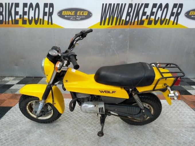 SUZUKI WOLF 50 4