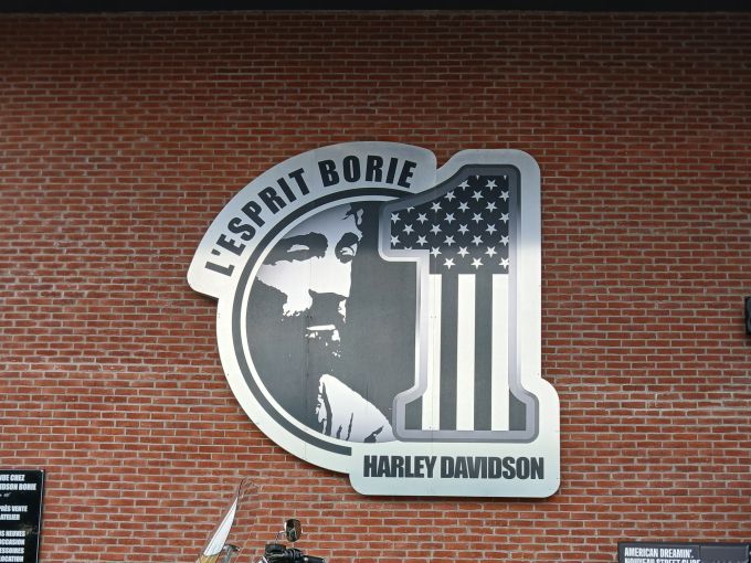 HARLEY-DAVIDSON SOFTAIL DELUXE 1745 4