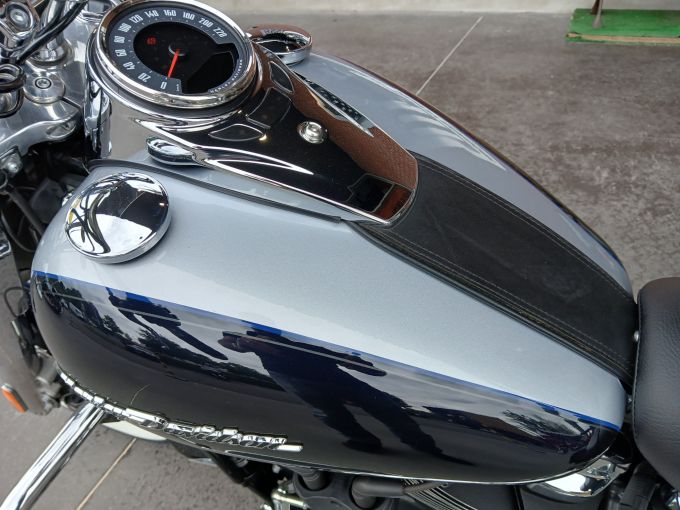 HARLEY-DAVIDSON SOFTAIL DELUXE 1745 4