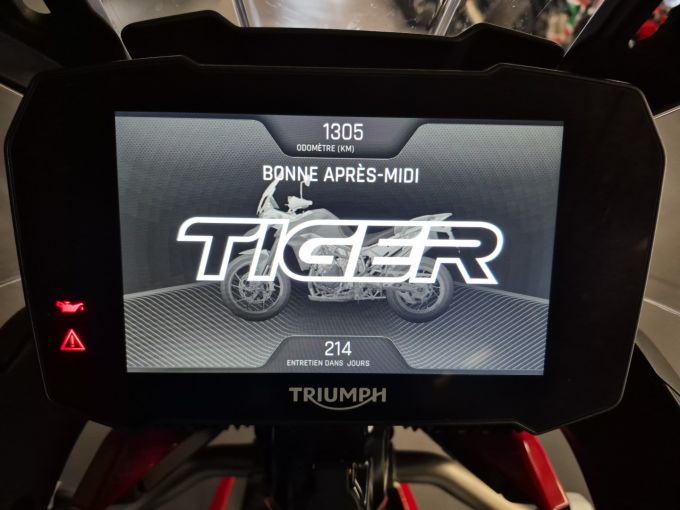 TRIUMPH TIGER 900 GT ARAGON EDITION 4