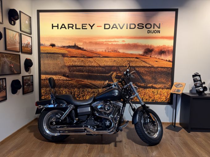 HARLEY-DAVIDSON DYNA FAT BOB 1584 4