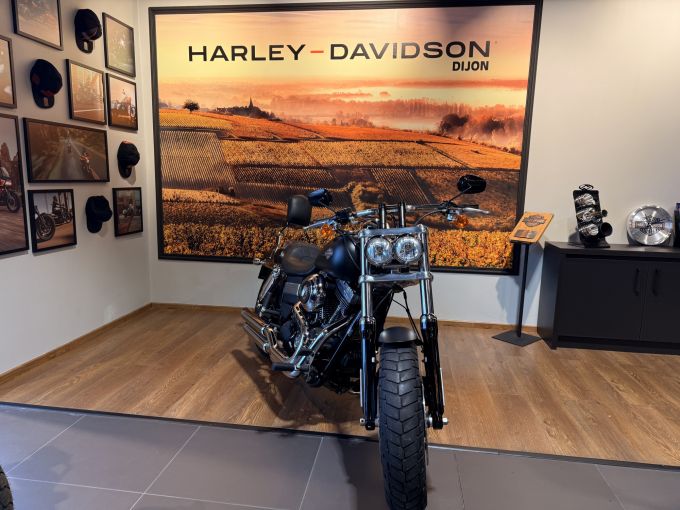 HARLEY-DAVIDSON DYNA FAT BOB 1584 4