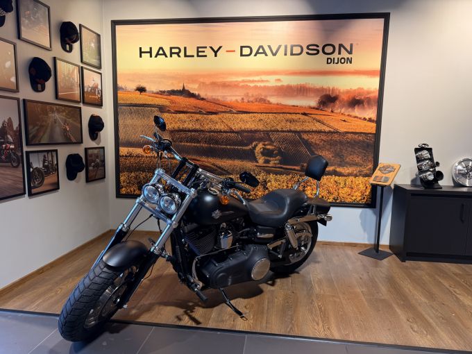 HARLEY-DAVIDSON DYNA FAT BOB 1584 4