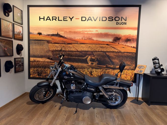 HARLEY-DAVIDSON DYNA FAT BOB 1584 4