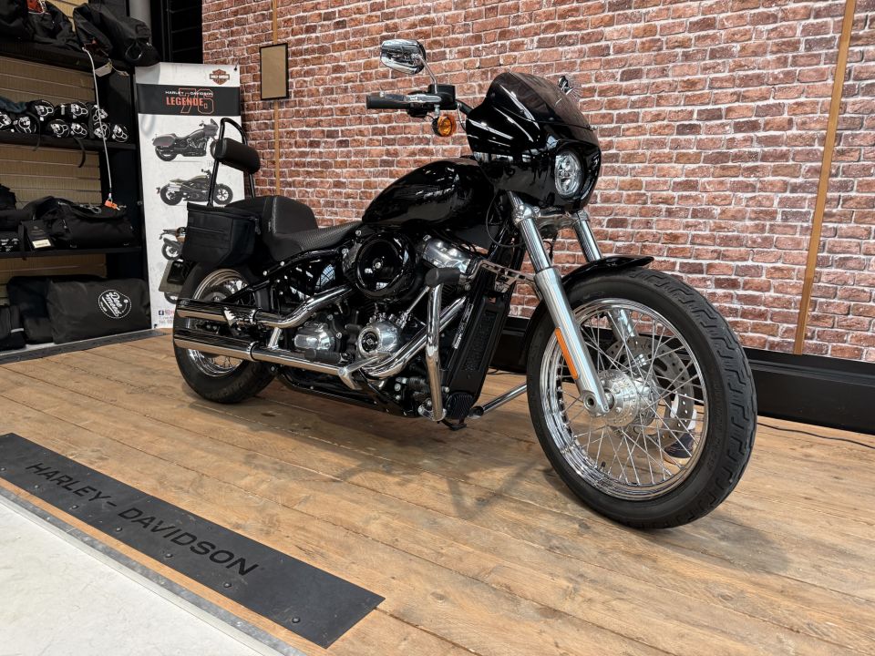 HARLEY-DAVIDSON SOFTAIL STANDARD 1745 4