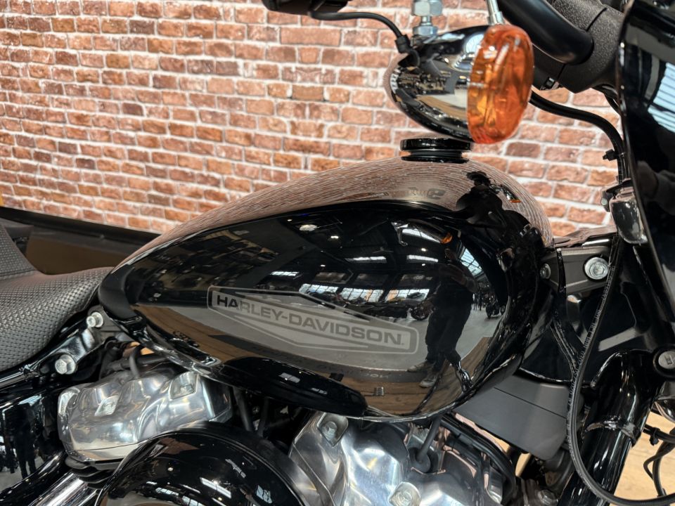 HARLEY-DAVIDSON SOFTAIL STANDARD 1745 4