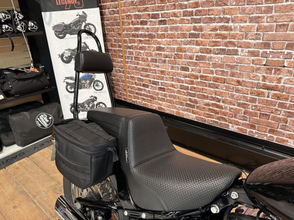 HARLEY-DAVIDSON SOFTAIL STANDARD 1745 4