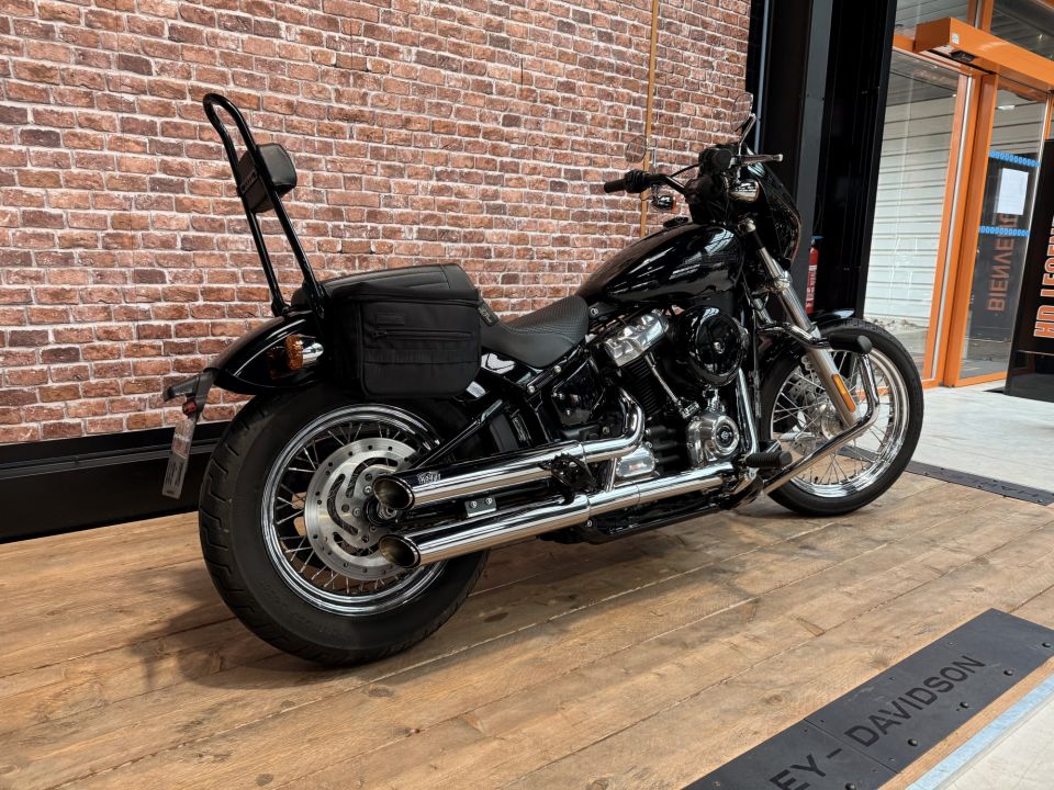 HARLEY-DAVIDSON SOFTAIL STANDARD 1745 4