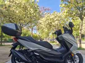 HONDA NSS FORZA 350 - 2025