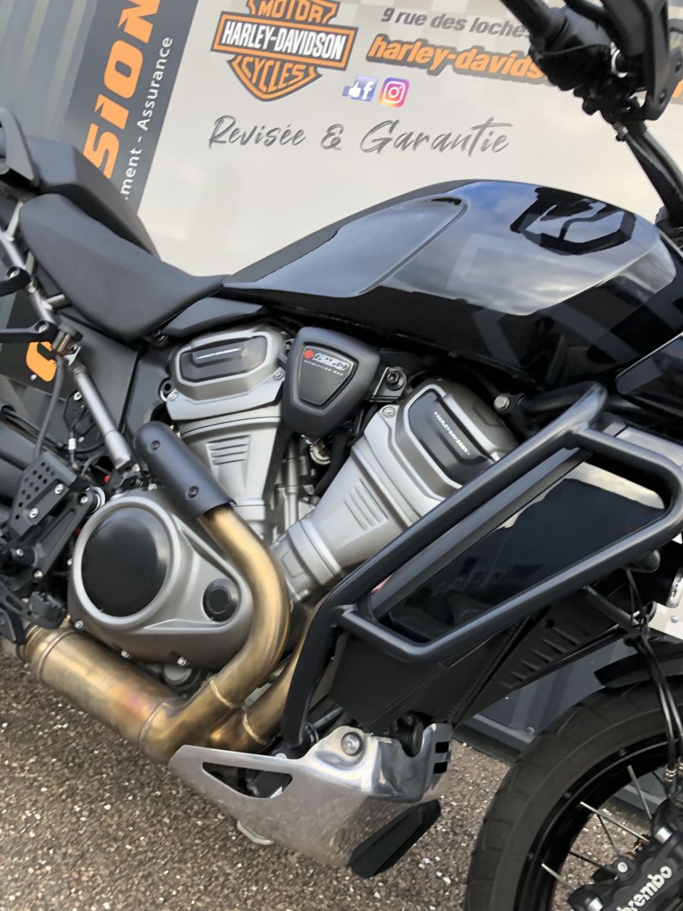 HARLEY-DAVIDSON ADVENTURE PAN AMERICA 1250 SPECIAL 4