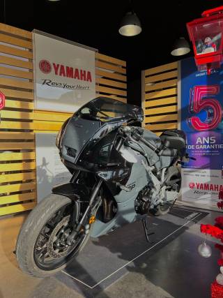 YAMAHA XSR 900 GP - 2024