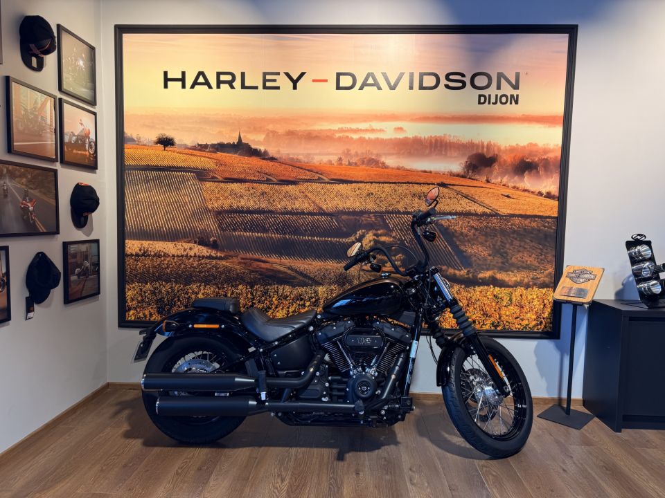 HARLEY-DAVIDSON SOFTAIL STREET BOB 1868 4