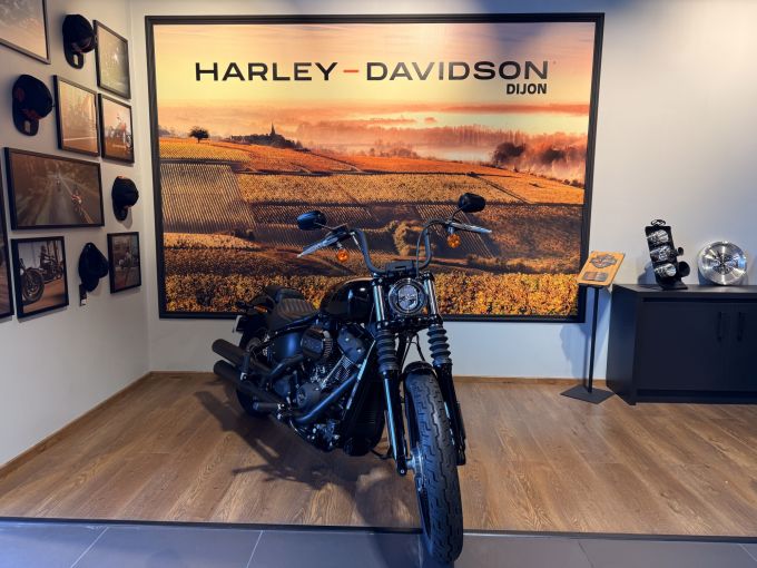 HARLEY-DAVIDSON SOFTAIL STREET BOB 1868 4