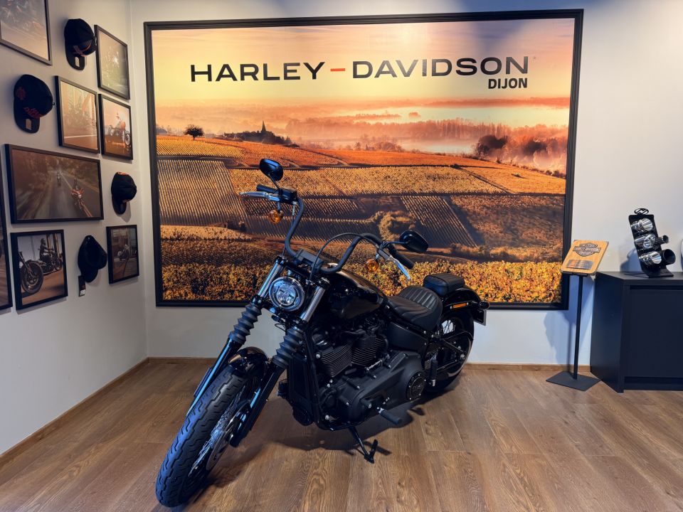 HARLEY-DAVIDSON SOFTAIL STREET BOB 1868 4