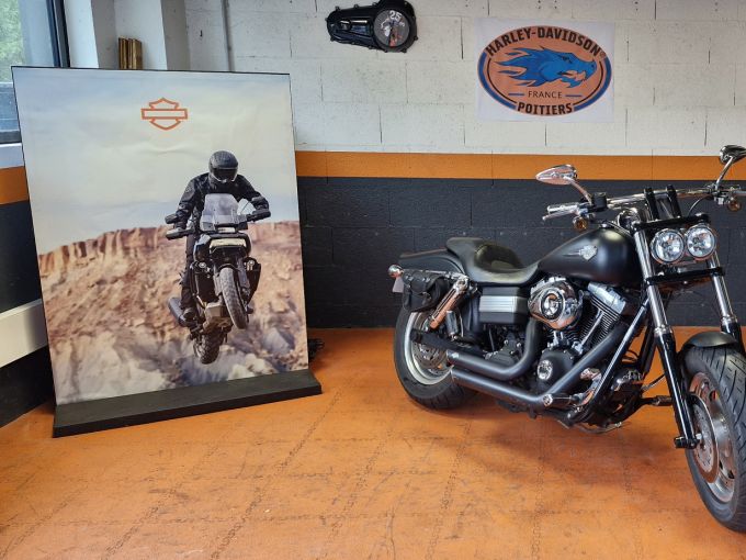 HARLEY-DAVIDSON DYNA FAT BOB 1584 4