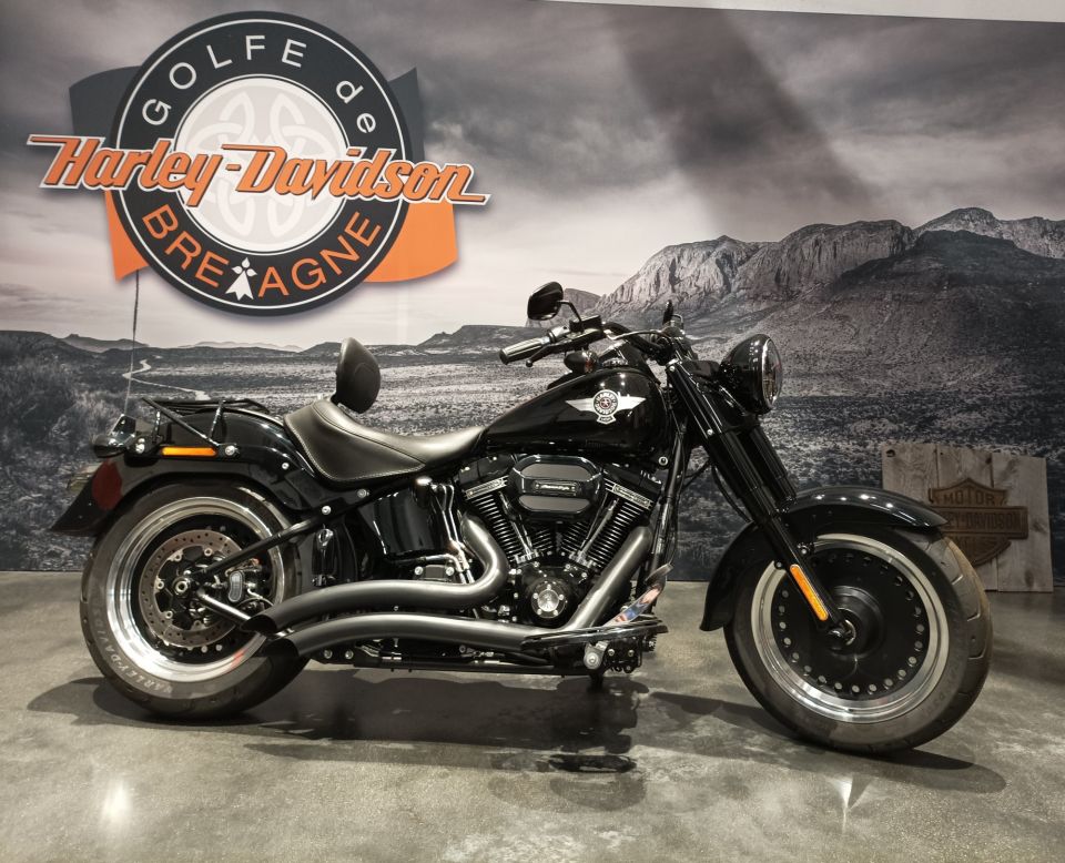 HARLEY-DAVIDSON SOFTAIL FAT BOY 1800 S 4