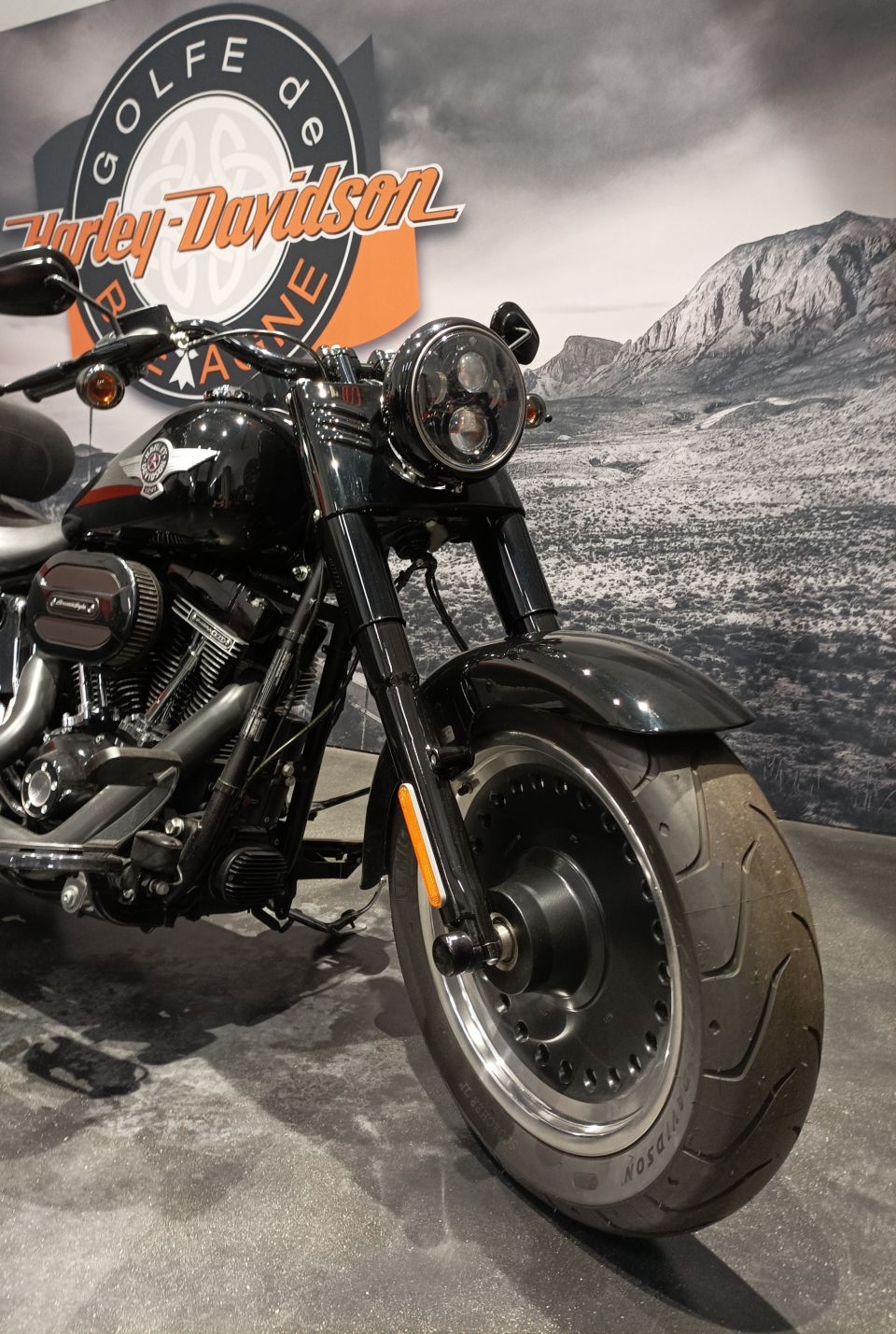 HARLEY-DAVIDSON SOFTAIL FAT BOY 1800 S 4