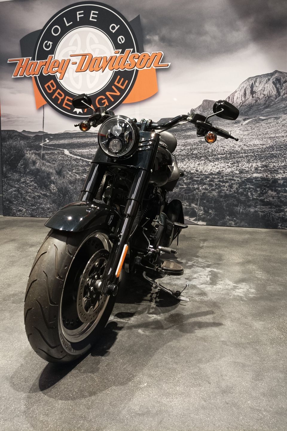 HARLEY-DAVIDSON SOFTAIL FAT BOY 1800 S 4