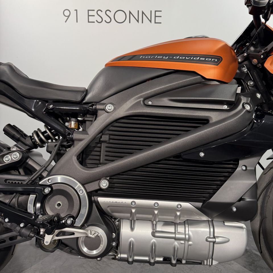 HARLEY-DAVIDSON LiveWire 4