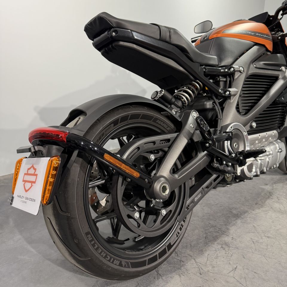 HARLEY-DAVIDSON LiveWire 4