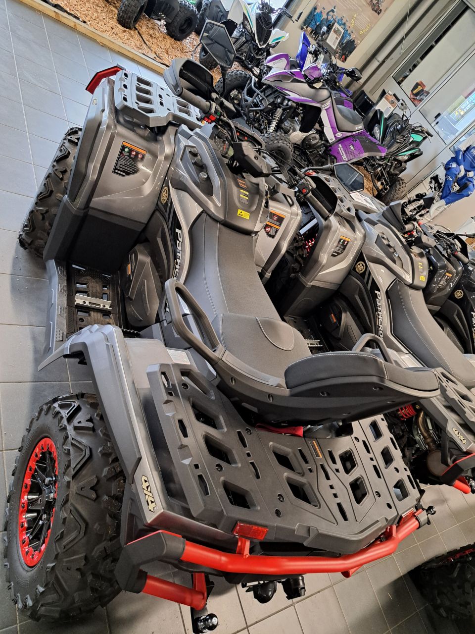 AODES Pathcross 1000 MAX XTX 4