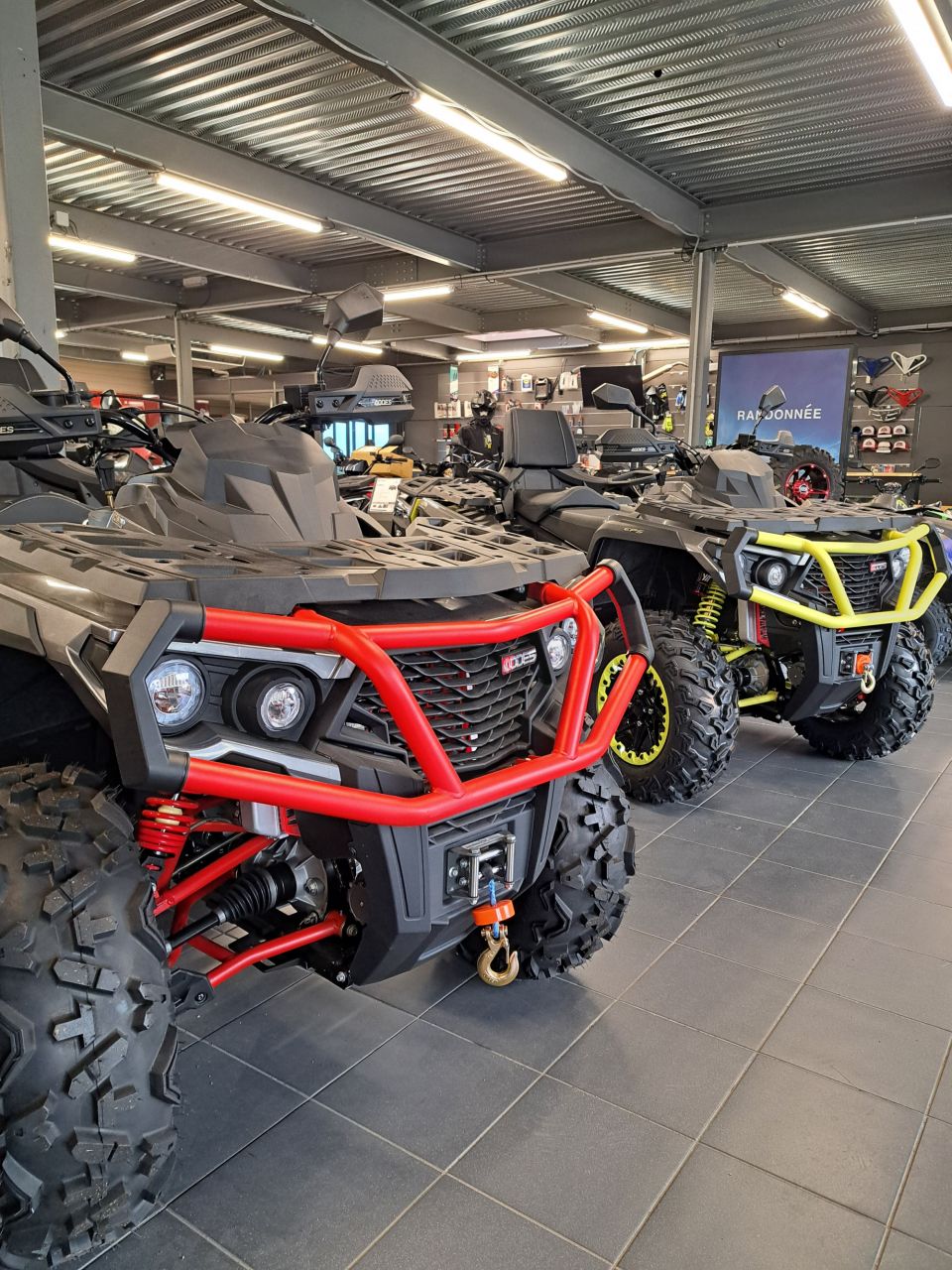 AODES Pathcross 1000 MAX XTX 4