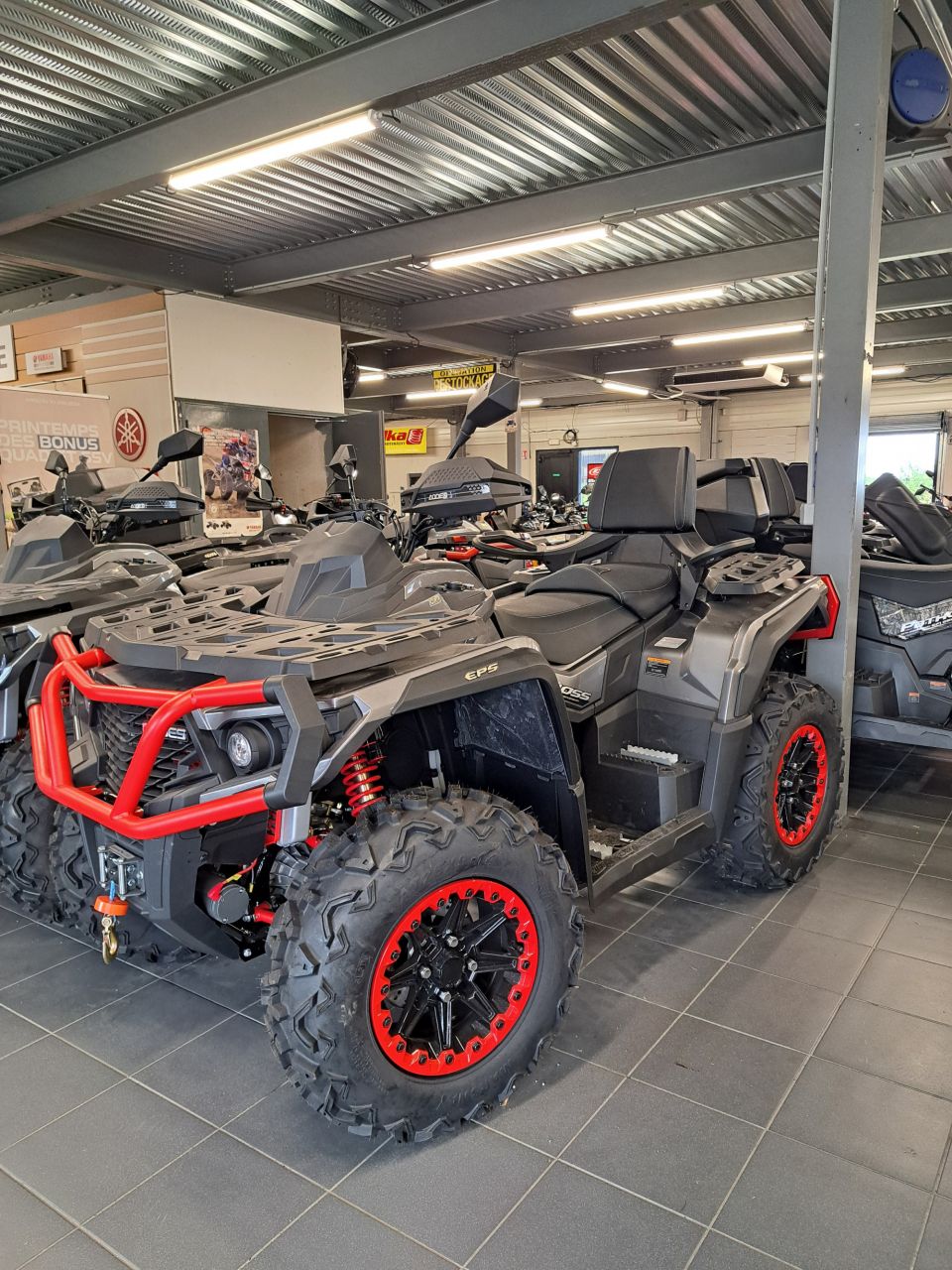 AODES Pathcross 1000 MAX XTX 4