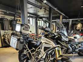 TRIUMPH TIGER 1200 RALLY EXPLORER - 2024