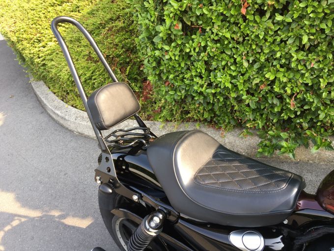 HARLEY-DAVIDSON SPORTSTER 1200 NS 4