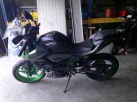 KAWASAKI Z 500 - 2024