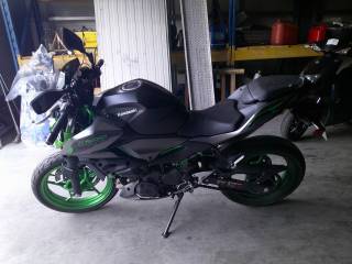 KAWASAKI Z 500 - 2024