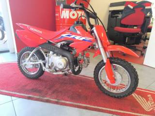 HONDA CRF 50 - 2023