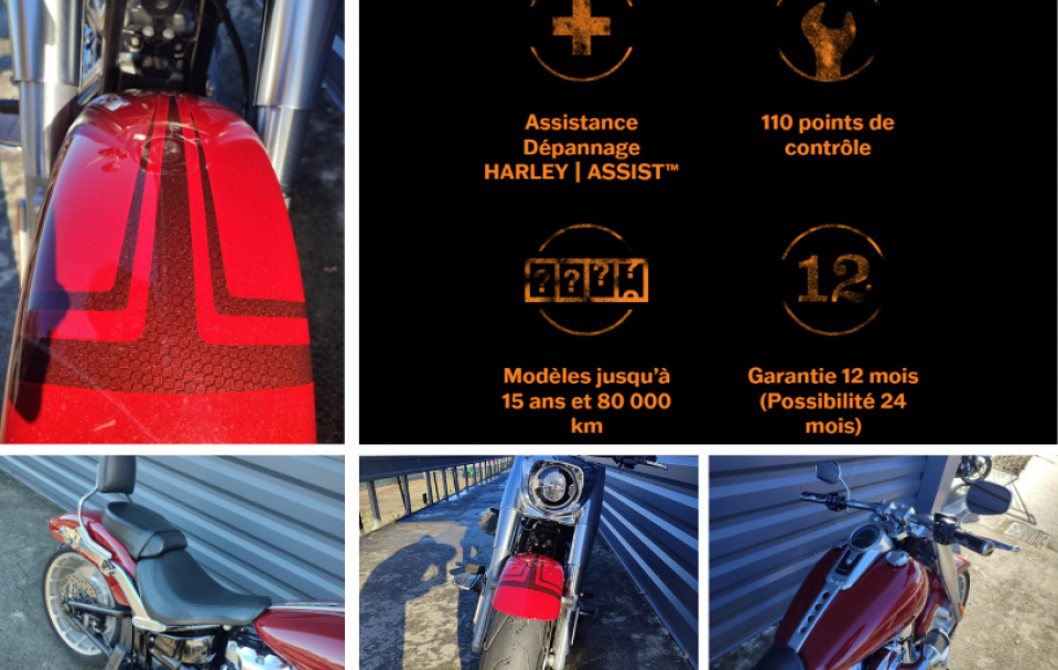 HARLEY-DAVIDSON SOFTAIL FAT BOY 1868 4